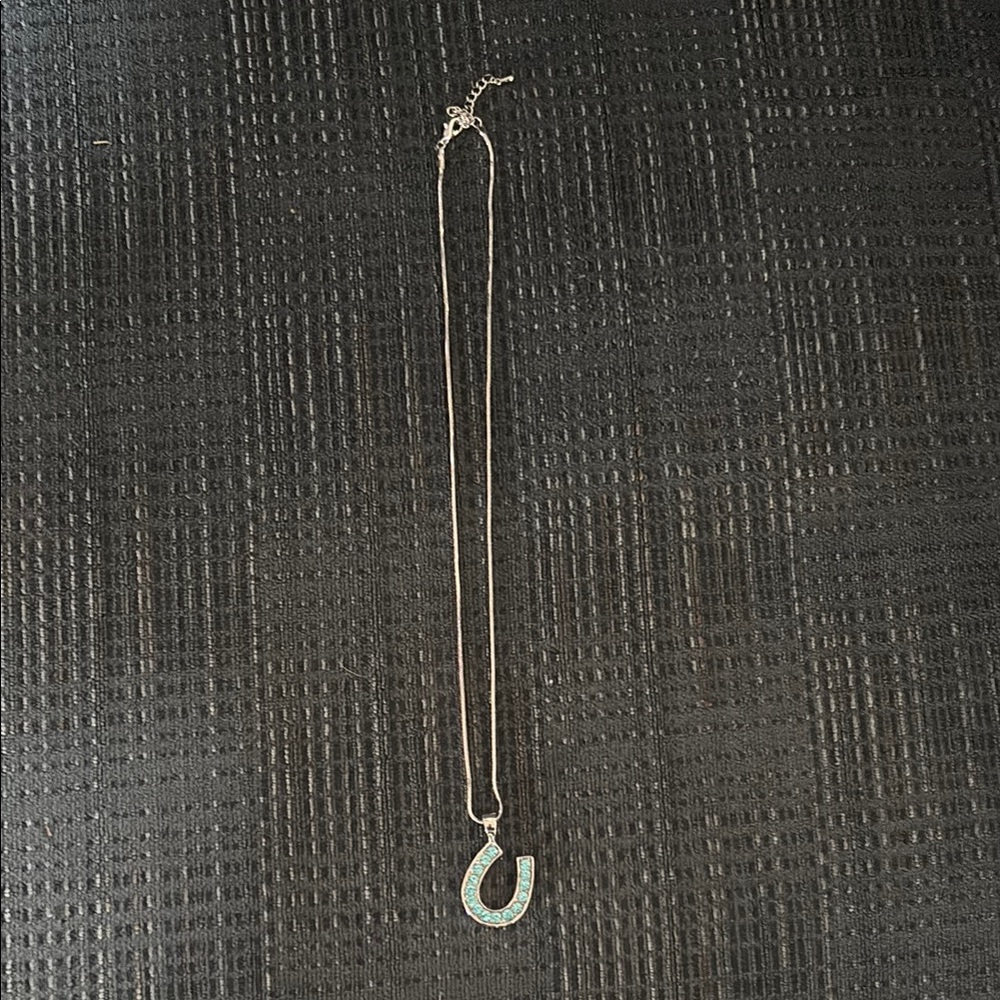 Elegant Silver and Turquoise Horseshoe Necklace